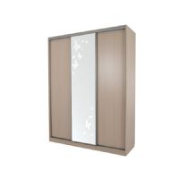 Шкаф-купе Мебельсон Бассо 1-600 бабочки дуб млечный