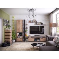 Гостиная ГМФ Nature дуб табачный craft/черный