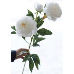 Цветок искусственный MYBLUMM 0001 Пион белый