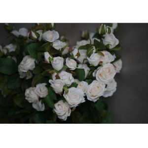 Купить Цветок искусственный MYBLUMM 0020 Роза кустовая кремовый