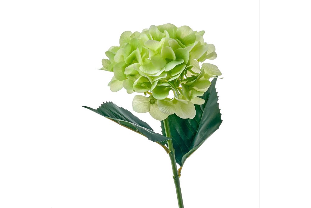 Цветок искусственный MYBLUMM 0137 Гортензия микс силиконовая зелёный цвет  зелёный купить в Сэлдом по низкой цене, фото и отзывы