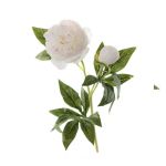 Цветок искусственный MYBLUMM 0162 Пион с мелкими розовыми лепестками белый