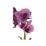 Цветочная композиция РЕМЕКО 401978 Орхидея 11*11*40 см (2 варианта) мультиколор