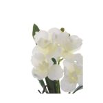 Цветочная композиция РЕМЕКО 401984 Орхидея 8*8*24 см (2 варианта) мультиколор