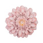 Декоративное изделие Арти М 504-153 19,5*2,5*19,5 см розовый