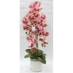 Цветочная композиция Анна Лафарг DG-F6835DP Орхидеи тём.розовые в вазе