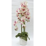 Цветочная композиция Анна Лафарг DG-F6835LP Орхидеи светло-розовые в вазе