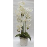 Цветочная композиция Анна Лафарг DG-F6835W Орхидеи белые в вазе