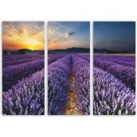 Картина модульная Строй-Комплект Лавандовое поле 120*84