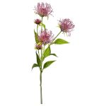 Цветок искусственный Арти М 21-1002 Леукоспермум сердцелистный пурпурно-красный 74 см зелёный/розовый