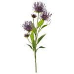 Цветок искусственный Арти М 21-1003 Леукоспермум сердцелистный дымчатый 74 см зелёный/фиолетовый
