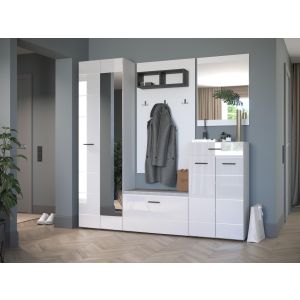 Купить Шкаф НК-Мебель НК-GLOSS  шкаф для одежды 600   Белый/Белый глянец